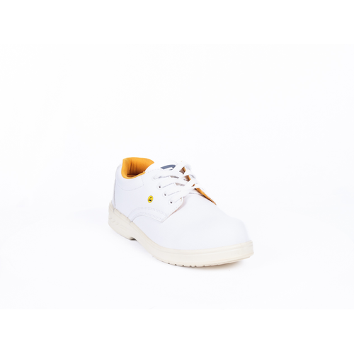 0201036680-RAVEN-ESD-S1-SRC-low-white-01 0201036680 RAVEN ESD S1 SRC low white 01
